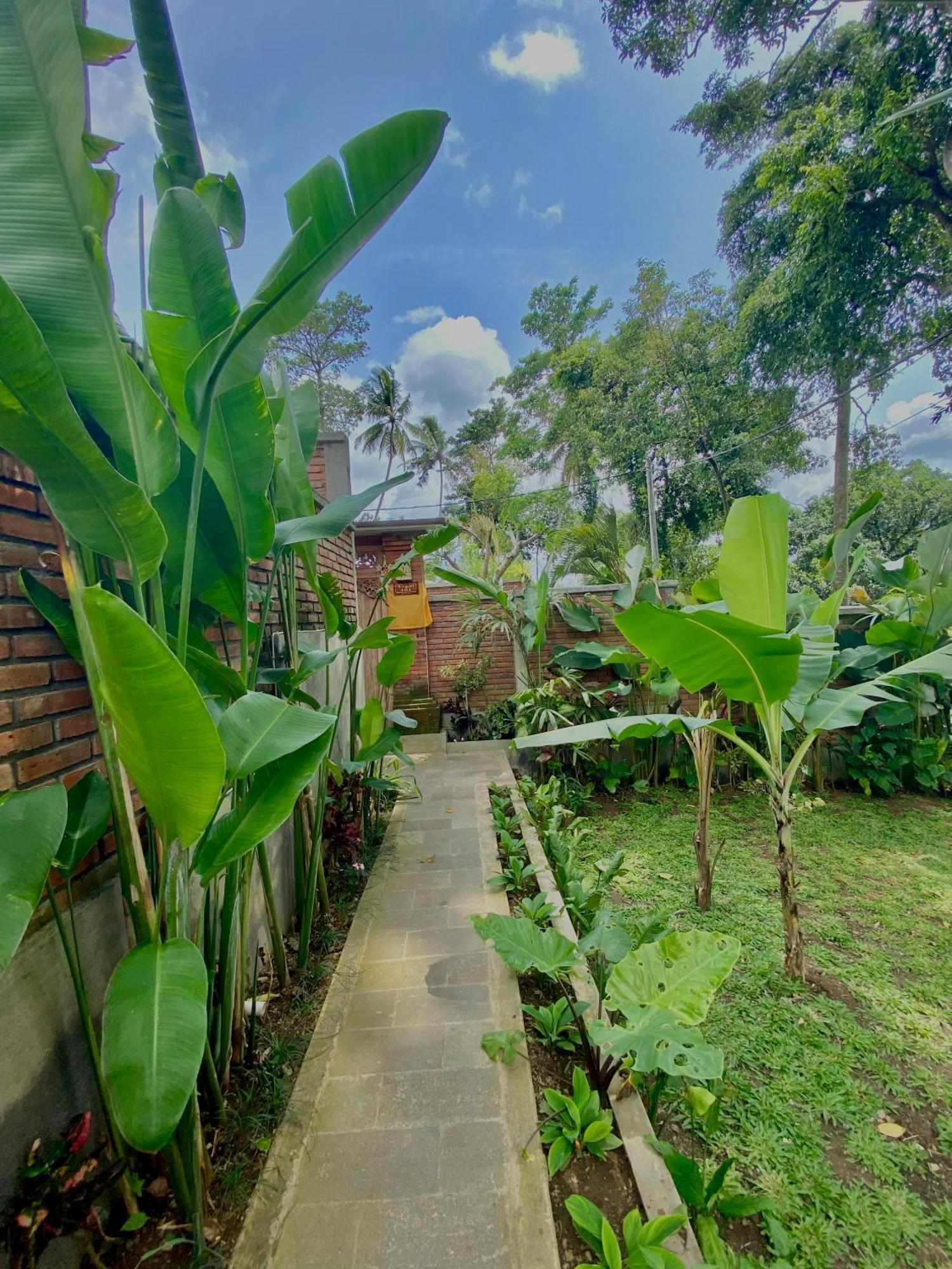 Gasthuis Tegal Harum With Jungle View