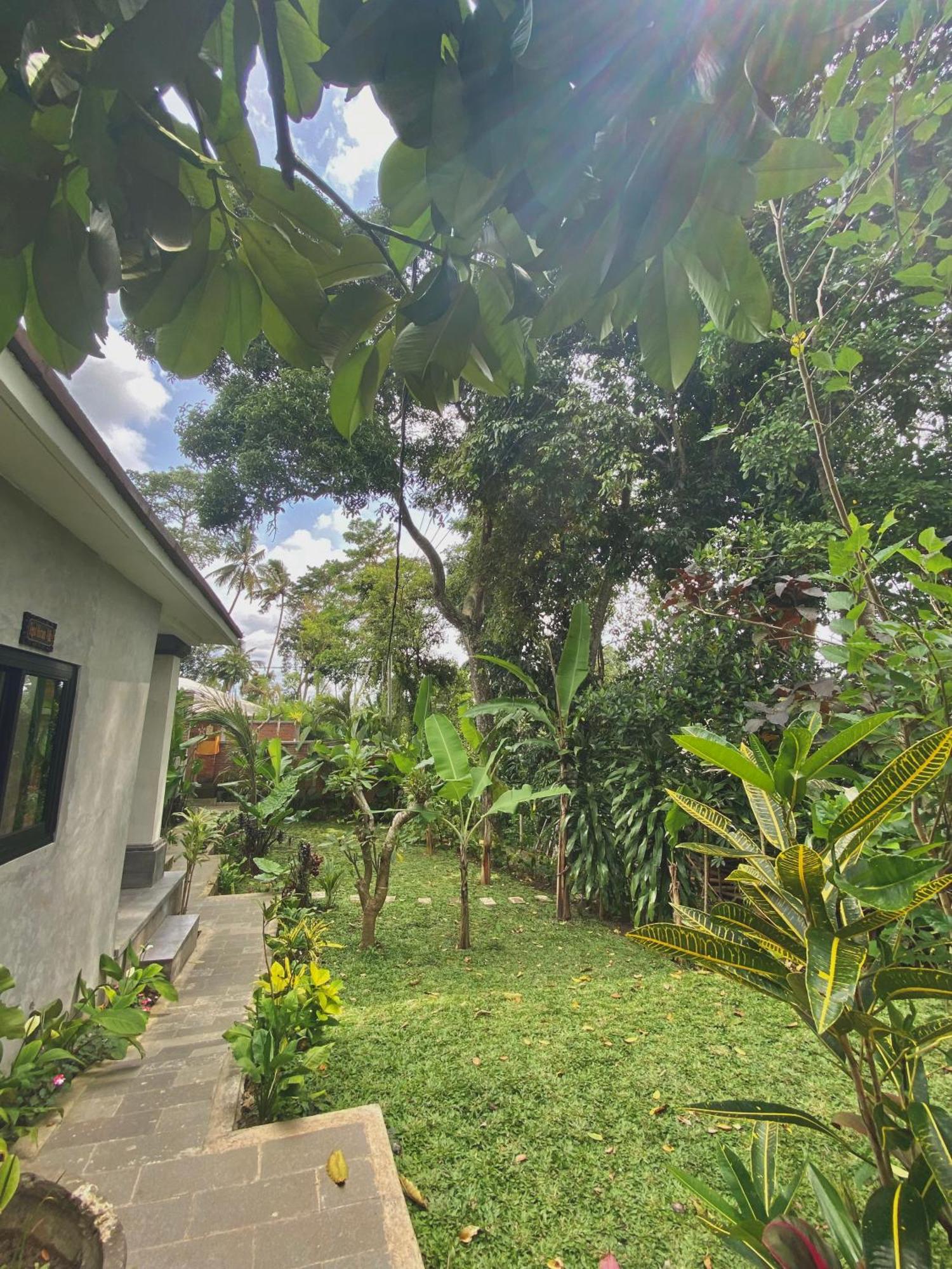 Wisma tamu Tegal Harum With Jungle View Ubud (Bali)